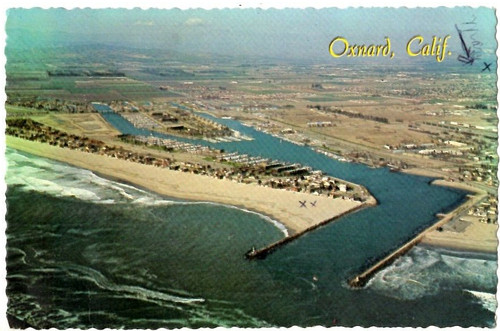 Postcard 1981 channel isles - postcard,
